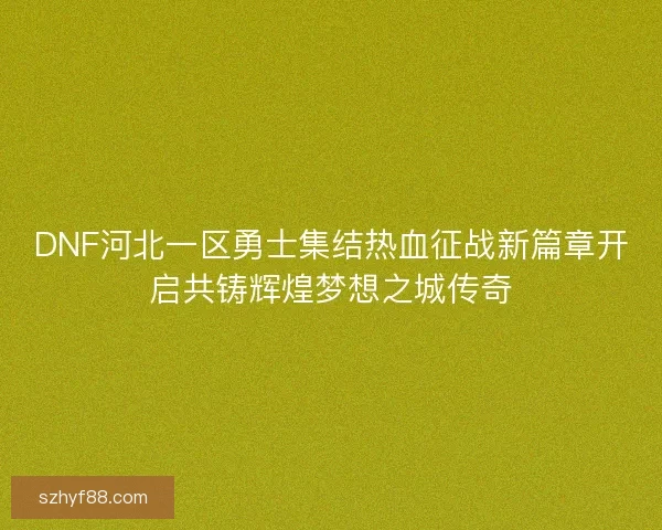 DNF河北一区勇士集结热血征战新篇章开启共铸辉煌梦想之城传奇