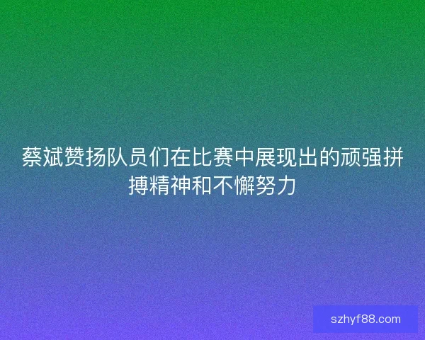 蔡斌赞扬队员们在比赛中展现出的顽强拼搏精神和不懈努力