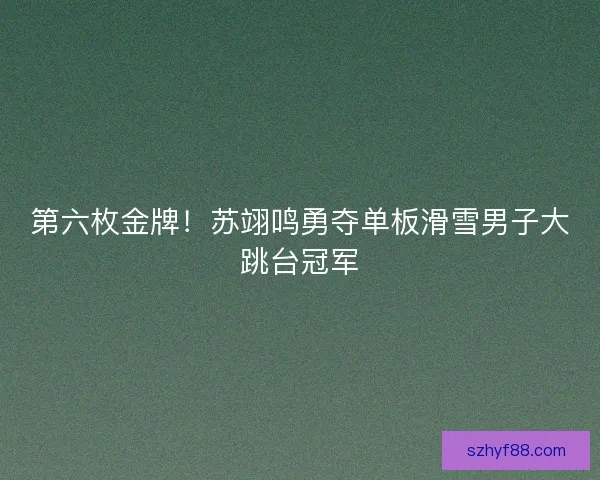 第六枚金牌！苏翊鸣勇夺单板滑雪男子大跳台冠军