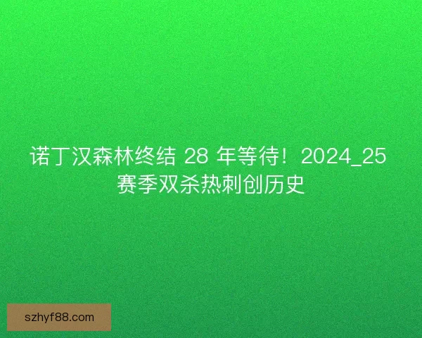诺丁汉森林终结 28 年等待！2024_25 赛季双杀热刺创历史
