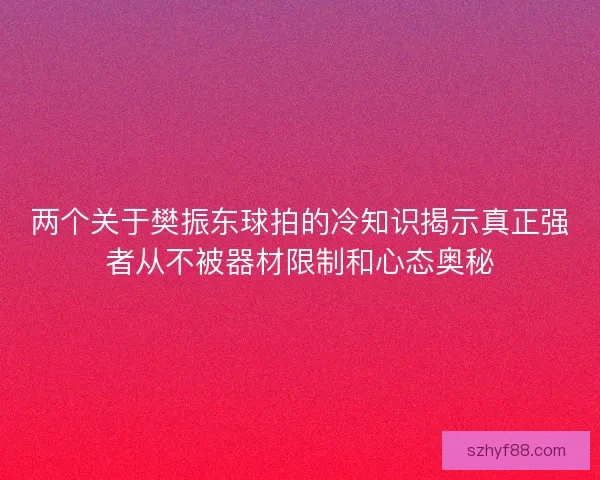 两个关于樊振东球拍的冷知识揭示真正强者从不被器材限制和心态奥秘 两个关于樊振东球拍的冷知识揭示真正强者从不被器材限制和心态奥秘